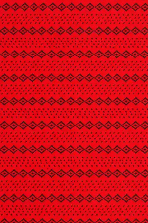 Red Black Geometric Stripe Hand Block Printed 60s×60s Cotton Fabric A